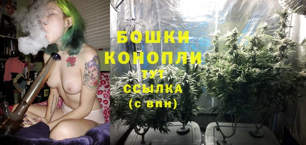 твердый Пересвет