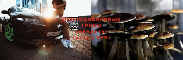 твердый Пересвет