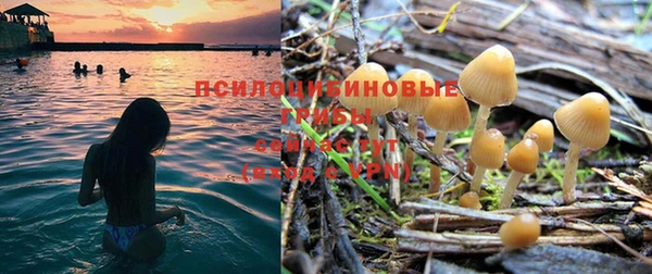 твердый Пестово