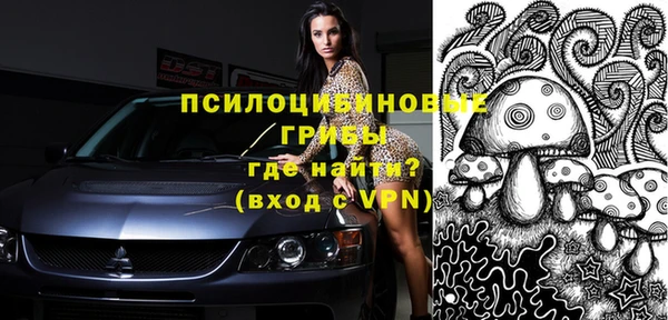 твердый Пестово