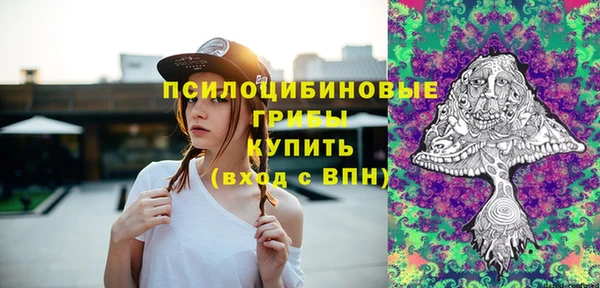 гашик Переславль-Залесский
