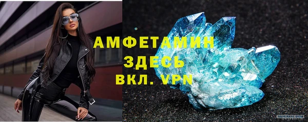 твердый Пересвет