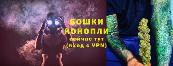 твердый Пересвет