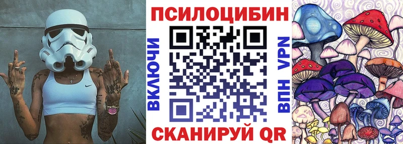 Галлюциногенные грибы Psilocybine cubensis Борзя