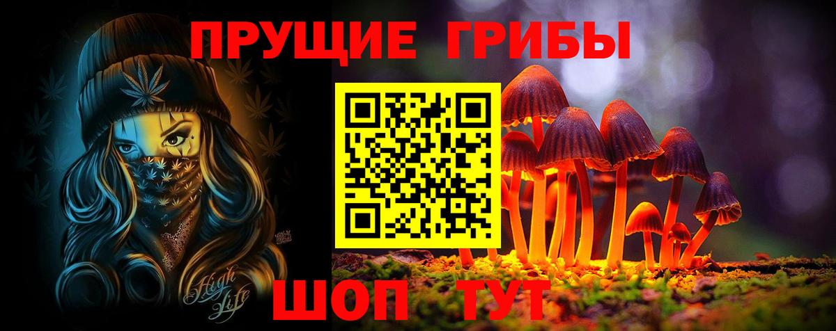 Галлюциногенные грибы Psilocybe Борзя