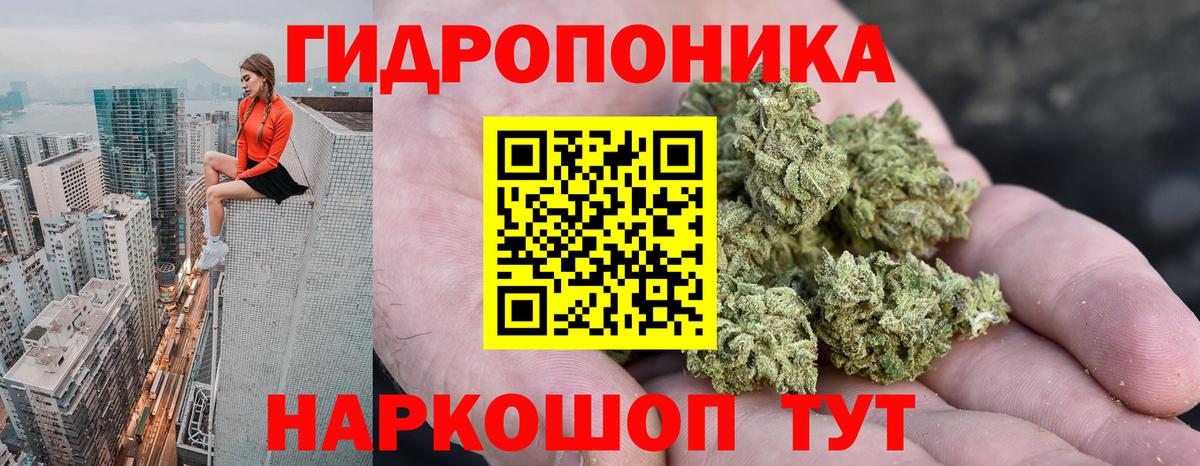Конопля LSD WEED  Бошки Шишки конопля  Вход с VPN  Конопля план  Канабис VHQ  Борзя 